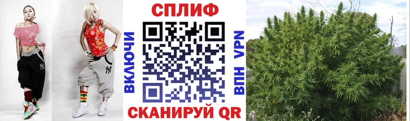 закладки  ОМГ ОМГ ССЫЛКА  Каннабис тримм  Советск 